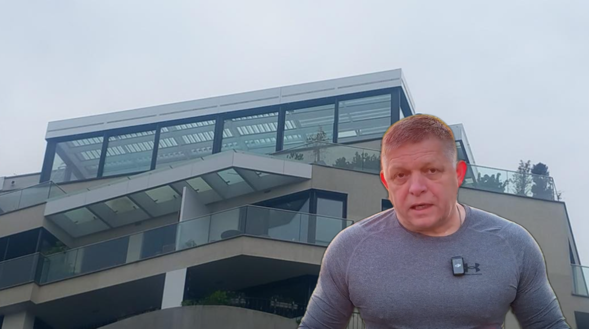 polotno 2026 04 08T194640.604