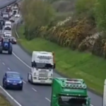 polotno 2026 04 11T092028.919