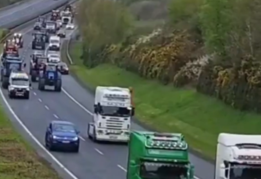 polotno 2026 04 11T092028.919