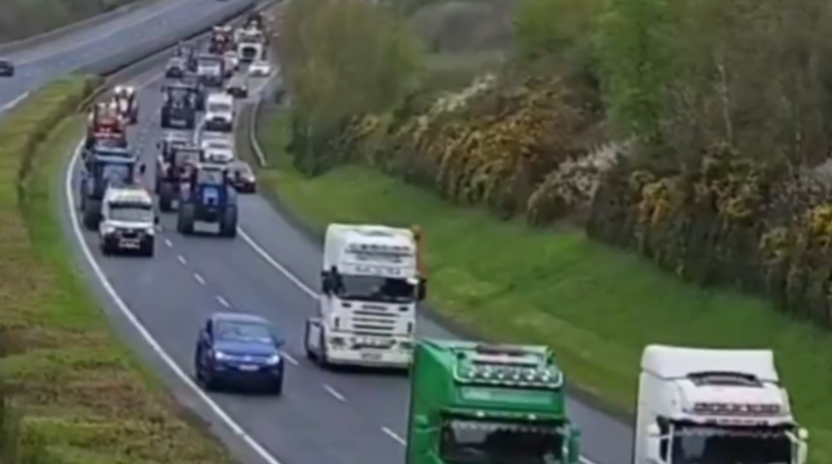 polotno 2026 04 11T092028.919