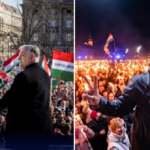 polotno 2026 04 11T095930.186