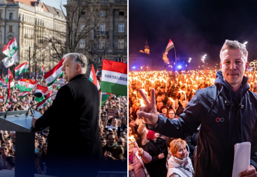 polotno 2026 04 11T095930.186