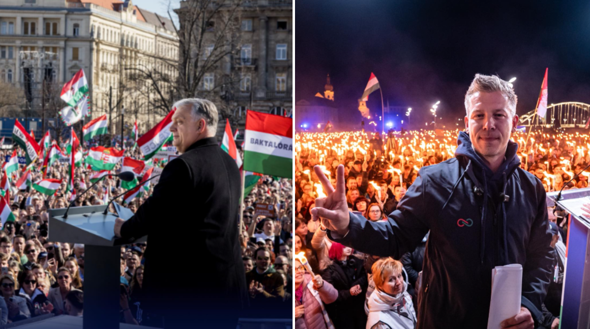 polotno 2026 04 11T095930.186