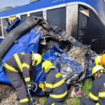 polotno 2026 04 16T100926.853