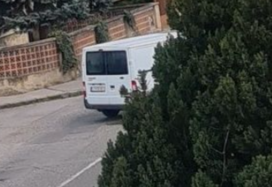 polotno 2026 04 16T154118.468