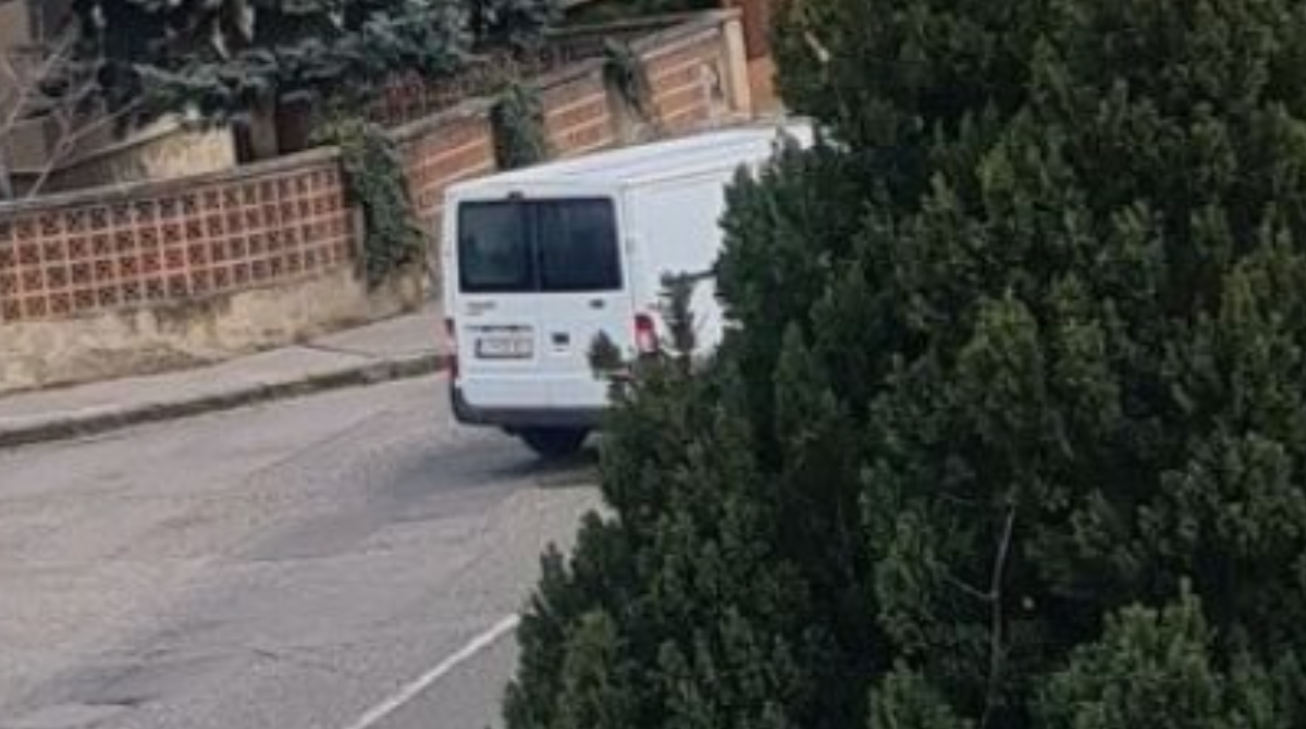 polotno 2026 04 16T154118.468