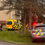 polotno 2026 04 18T110519.140