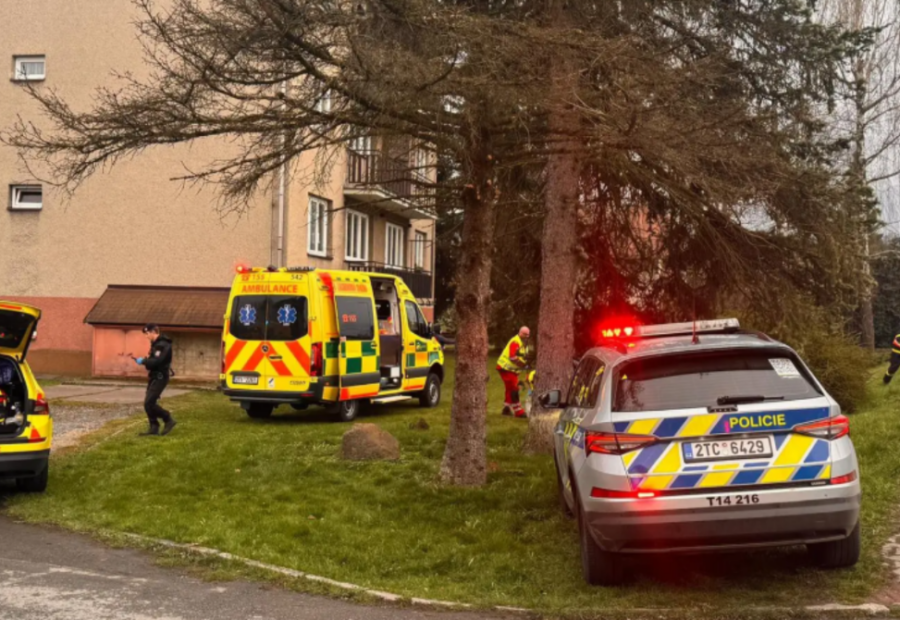 polotno 2026 04 18T110519.140