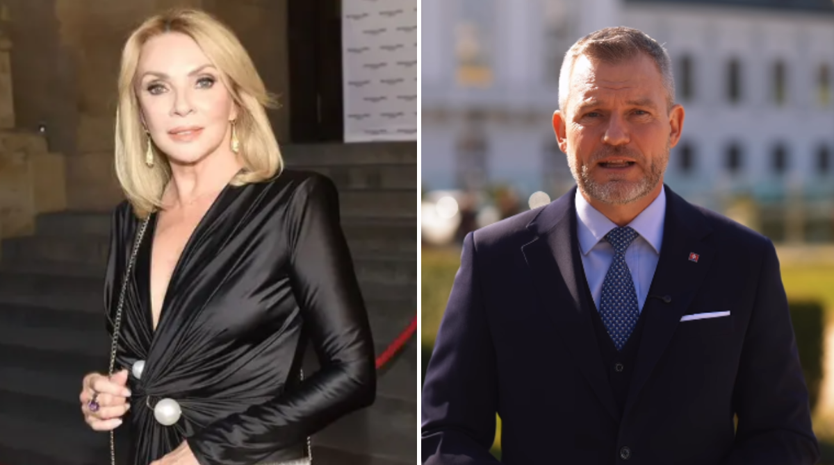 polotno 2026 04 20T091119.996