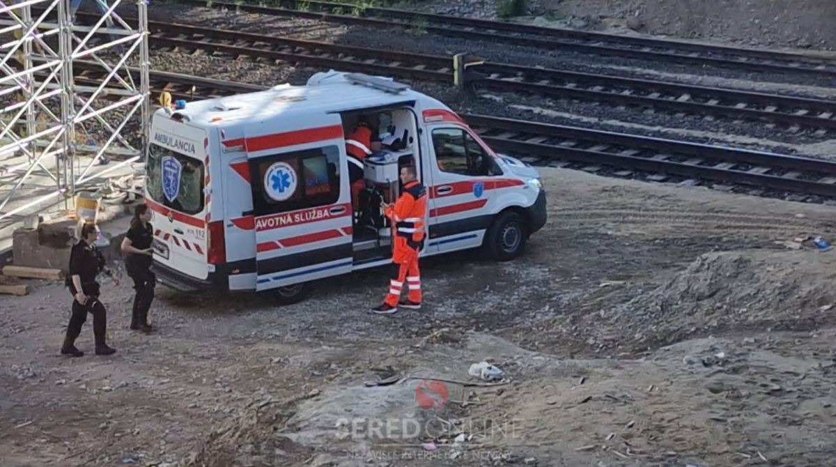 polotno 2026 04 20T112252.369