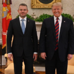 polotno 2026 04 20T204005.913