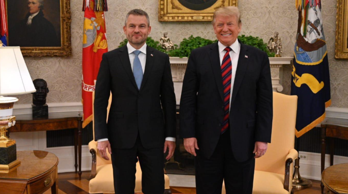 polotno 2026 04 20T204005.913