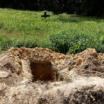 polotno 2026 04 21T085444.571