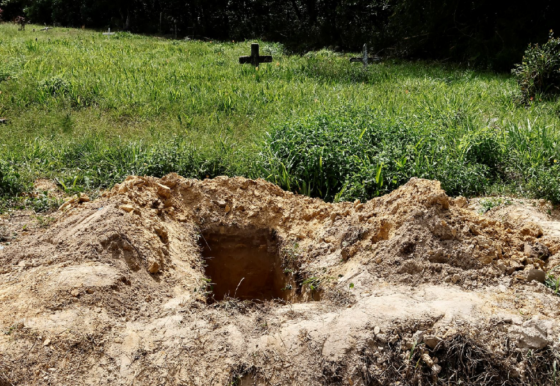 polotno 2026 04 21T085444.571