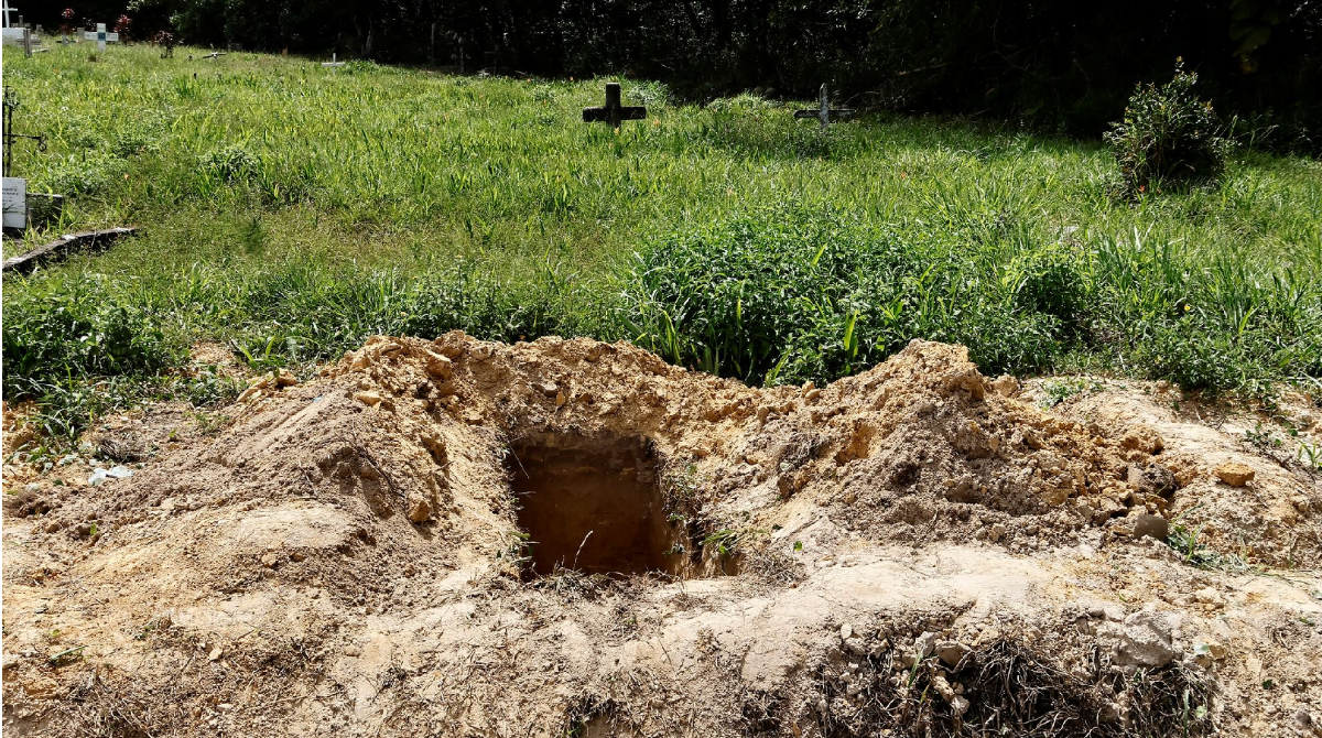 polotno 2026 04 21T085444.571