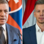 polotno 2026 04 21T123119.440