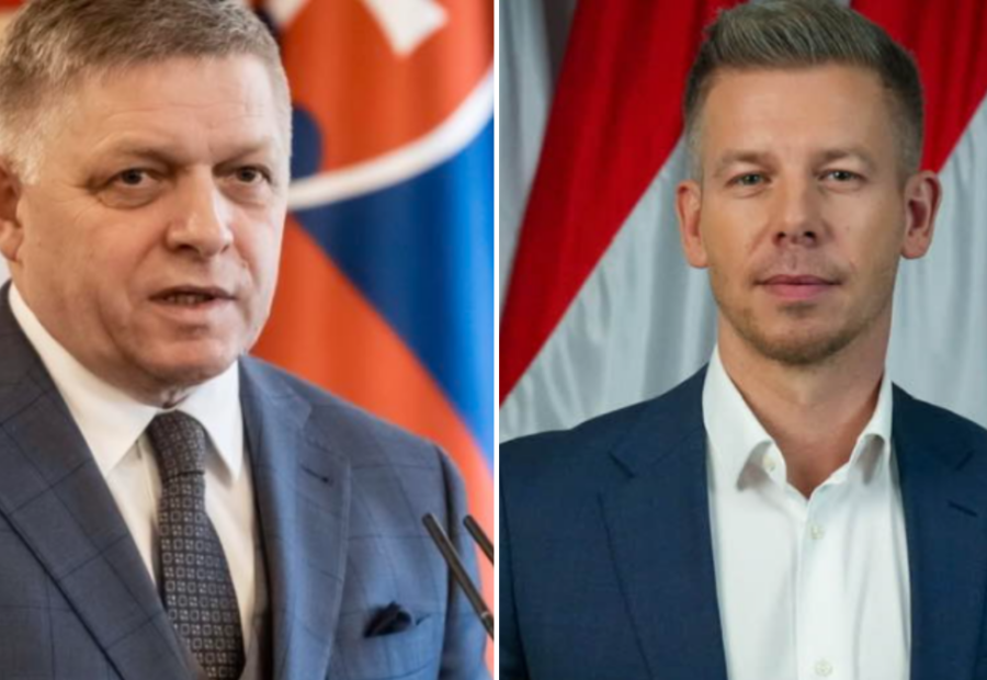 polotno 2026 04 21T123119.440