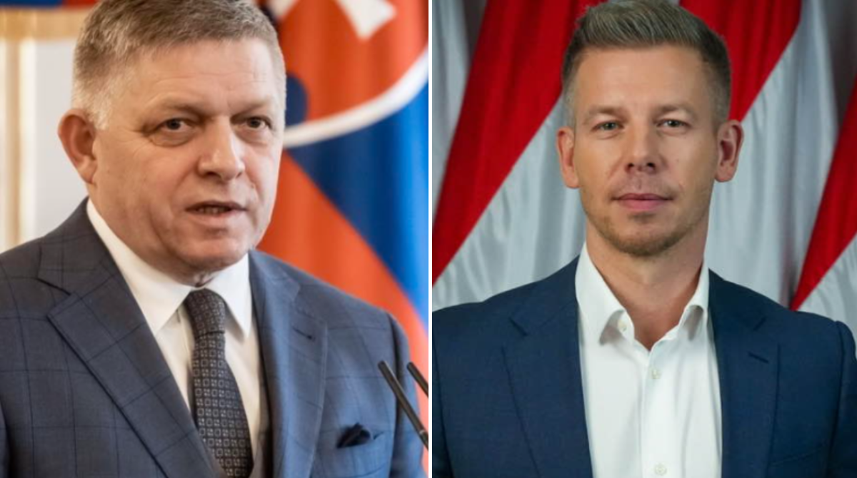 polotno 2026 04 21T123119.440