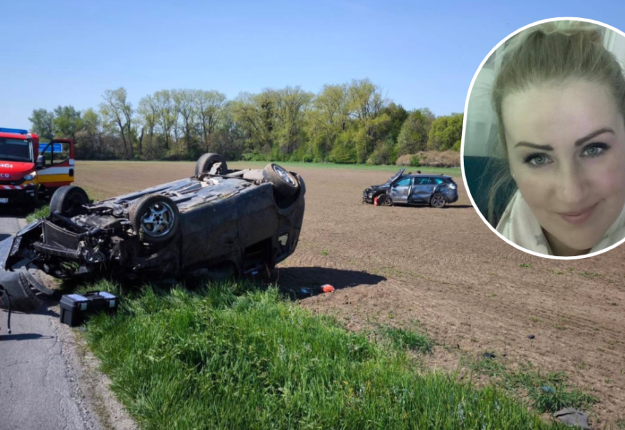 polotno 2026 04 21T133125.457