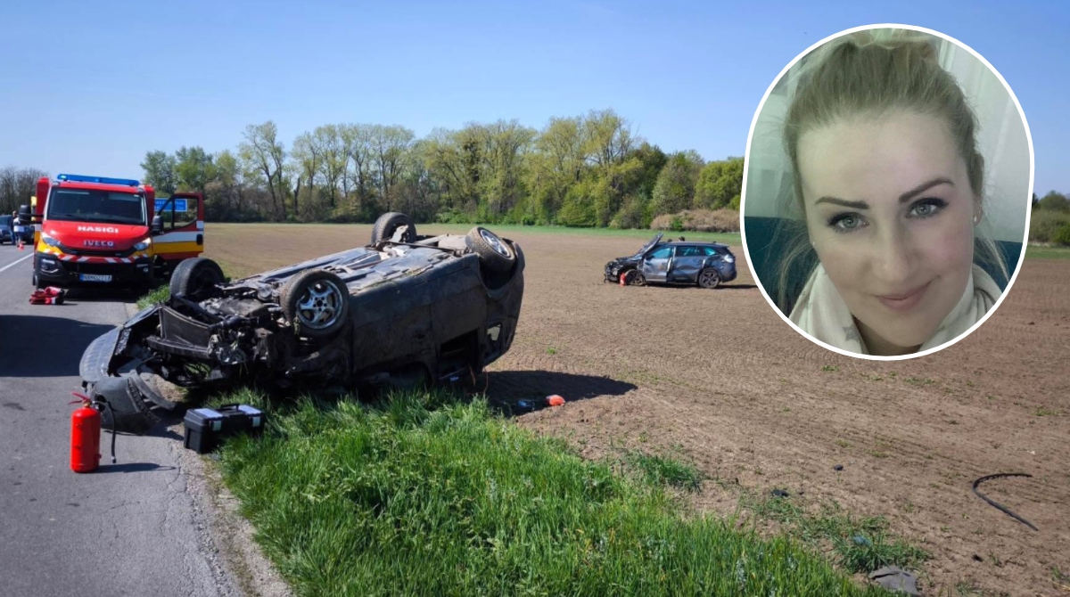 polotno 2026 04 21T133125.457