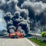 polotno 2026 04 21T151233.059