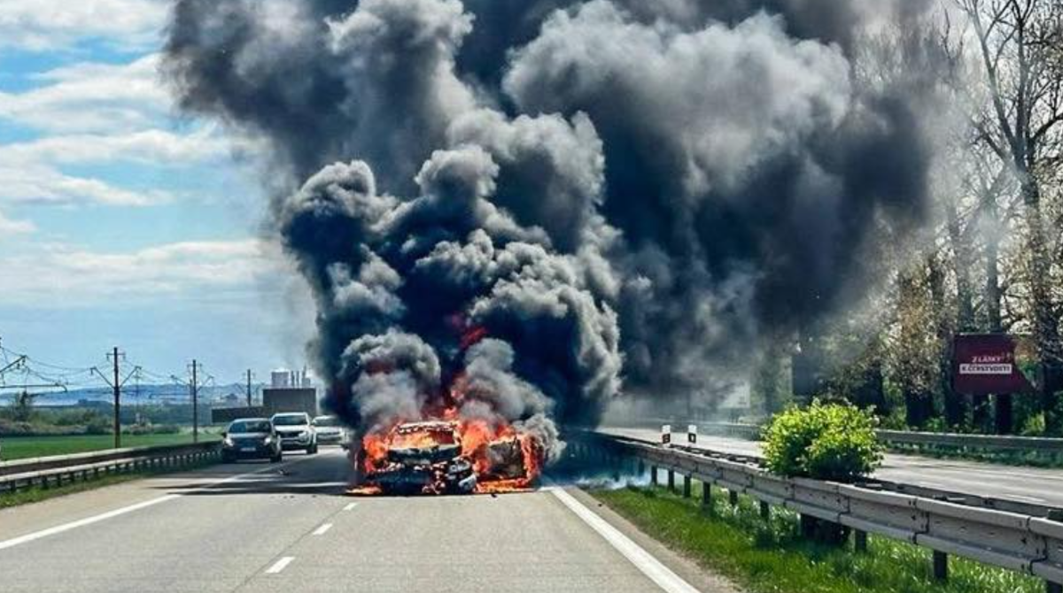 polotno 2026 04 21T151233.059