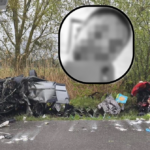 polotno 2026 04 21T205554.509