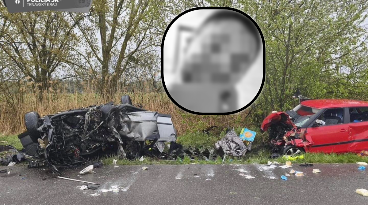 polotno 2026 04 21T205554.509