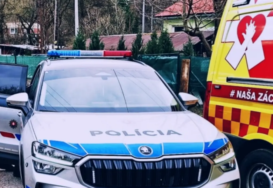 polotno 2026 04 30T091019.872