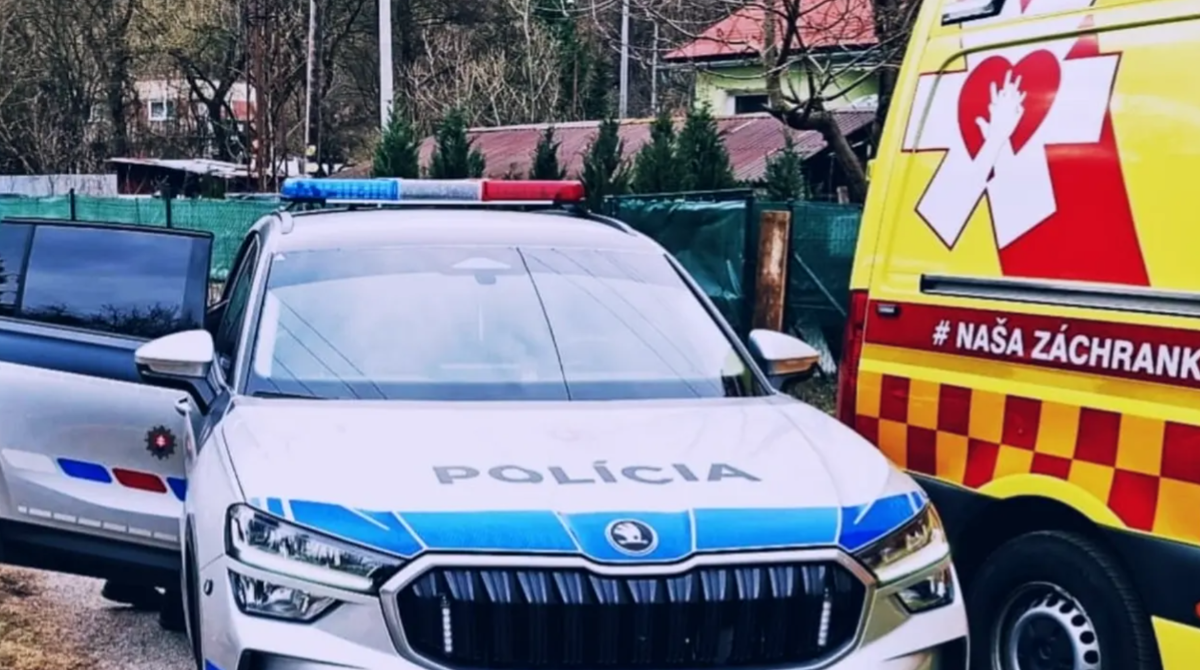 polotno 2026 04 30T091019.872