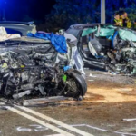 polotno 2026 04 30T173236.838