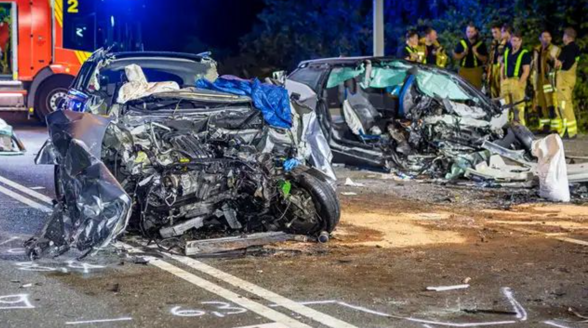 polotno 2026 04 30T173236.838