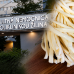 Neskutočná tragédia: Oľgu z obce Lutiša zabili syrové nite. Z umelého spánku sa už neprebrala 5 ChatGPT Image 17. 7. 2026 11 18 15