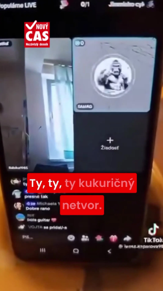 Mrazivá teória o ÚNOSE malého Mária, ktorého hľadali 33 hodín: Internetom sa šíri VIDEO! 2 image 17