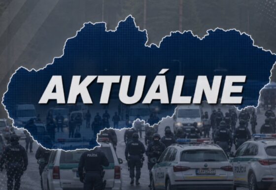 polícia, razia, úbok