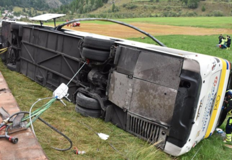 polotno 2026 09 11T181009.444